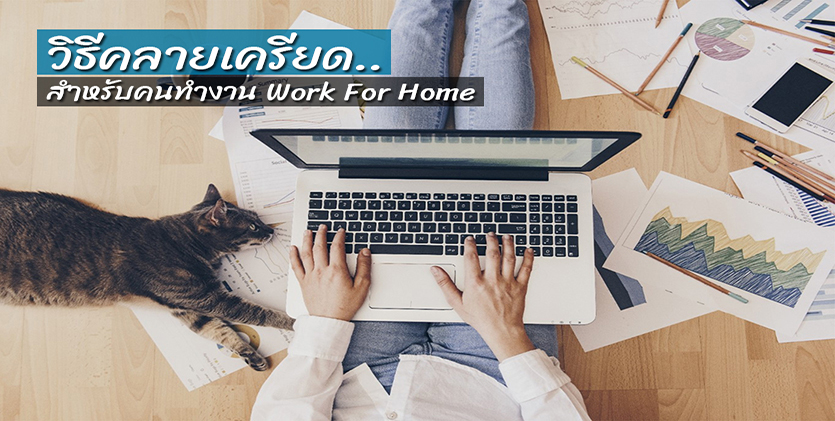 วิธีคลายเครียดสำหรับคนทำงาน Work For Home อยู่บ้านเพื่อชาติ สไตล์รักตัวเอง