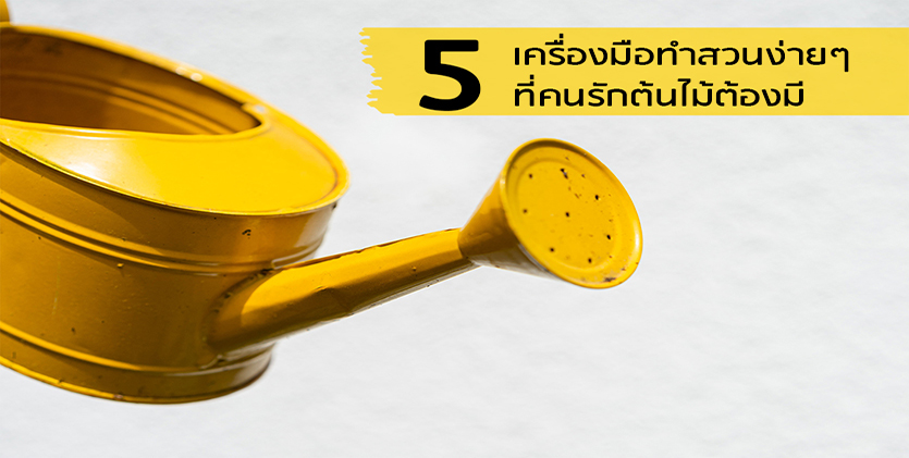 5 อุปกรณ์ทำสวนง่ายๆ ที่คนรักต้นไม้ต้องมี